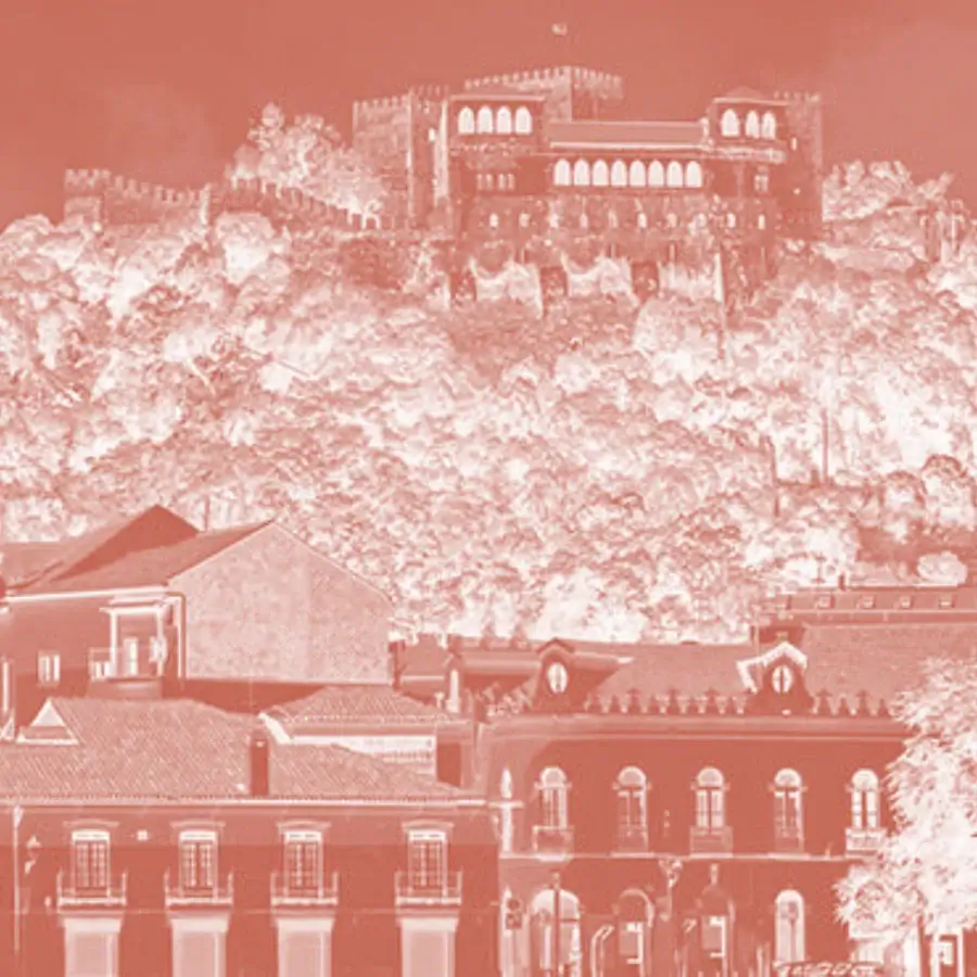 leira masceu Maria Gaio escritora